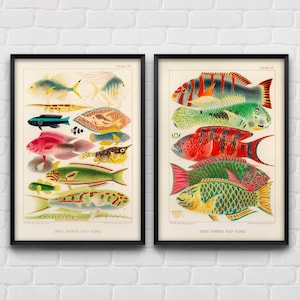 Puede incluir: Dos láminas enmarcadas tituladas Great Barrier Reef Fishes. La lámina izquierda muestra varios peces en amarillo, azul, rosa y verde. La lámina derecha presenta cinco peces más grandes y detallados con patrones vibrantes en rojo, verde, azul y amarillo.