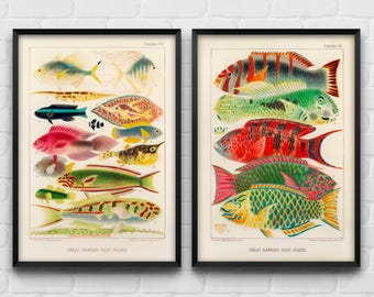 Barrier Reef Fishes Print Set, Coastal Marine Art (Set of 2), Vintage Gift