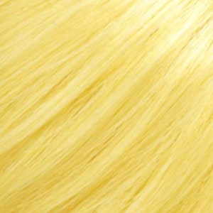 Blonde Kräuter Henna Pulver Haarfarbe 100g