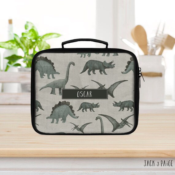 boys dinosaur lunch box