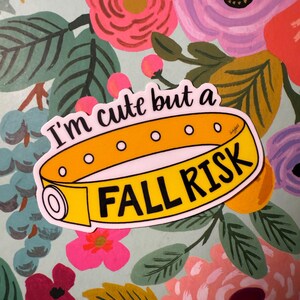 I'm Cute but a Fall Risk Sticker bild 3