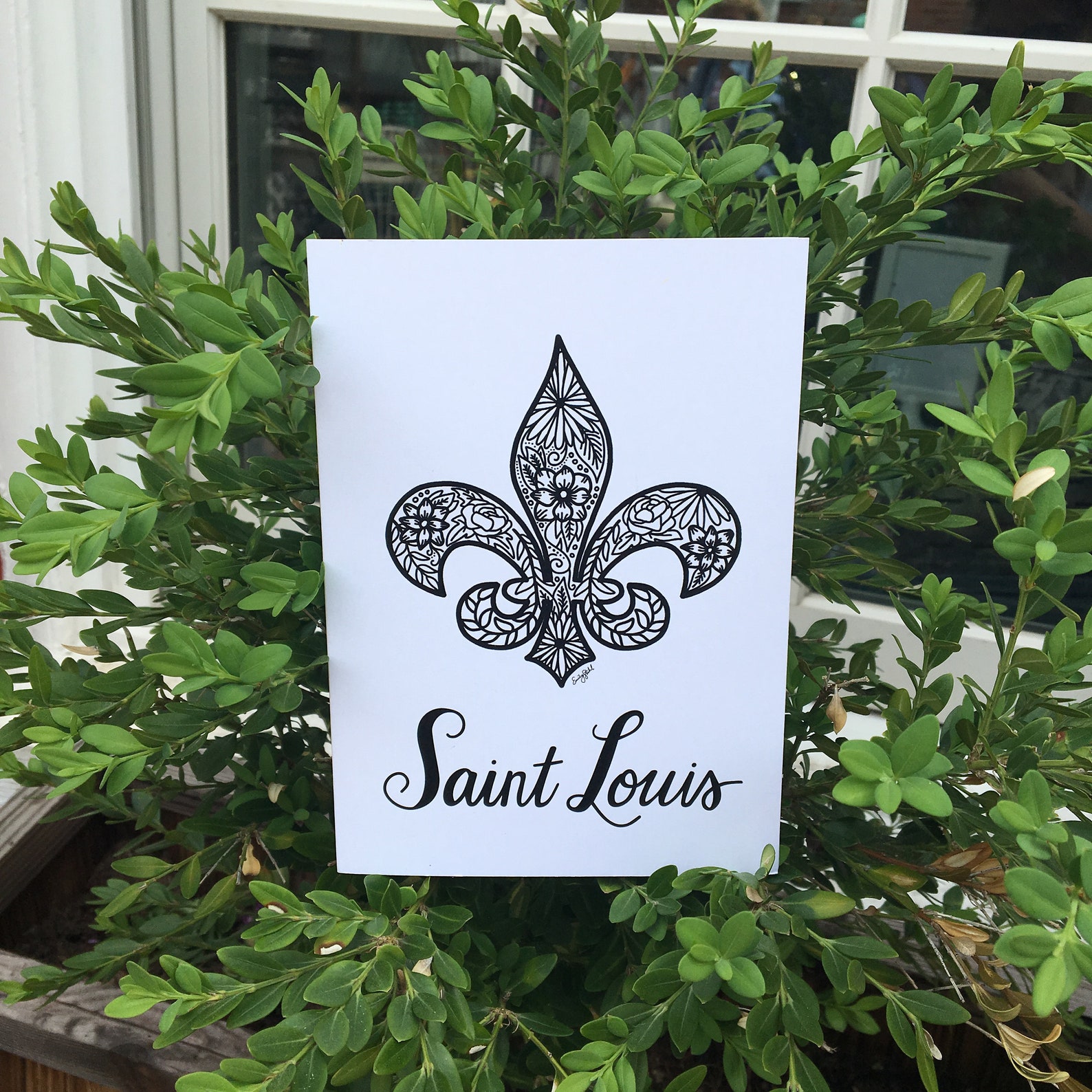 Saint Louis Fleur De Lis Card Hand Lettered Card Hand Drawn Etsy