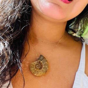 May include: A gold chain necklace with a large, brown ammonite fossil pendant. The fossil is a spiral shape with intricate details.