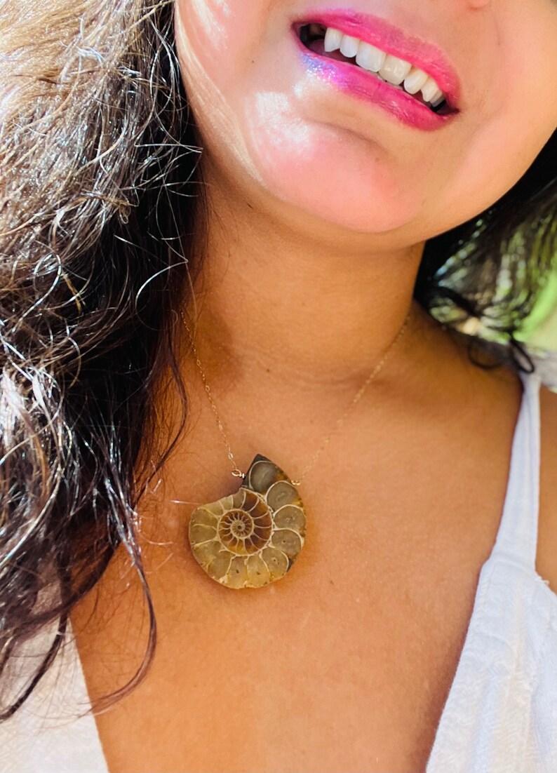 May include: A gold chain necklace with a large, brown ammonite fossil pendant. The fossil is a spiral shape with intricate details.