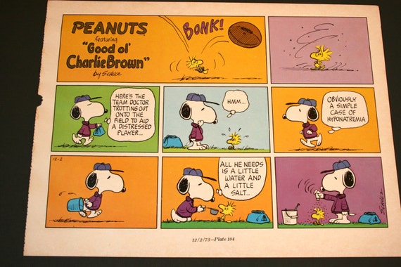 Bonk Goes The Football Snoopy And Woodstock Comic Coach Etsy