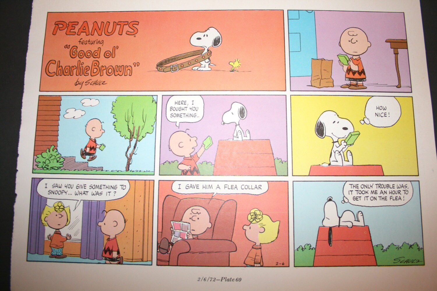 Snoopy comic Flea Collar Charlie Brown and Snoopy Gift for Etsy