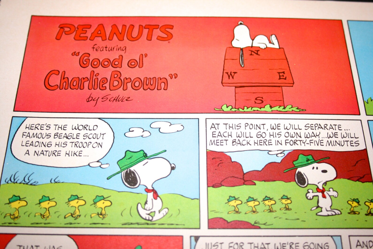 Scouts Snoopy comic Woodstock Peanuts Comic Strip Retro Etsy