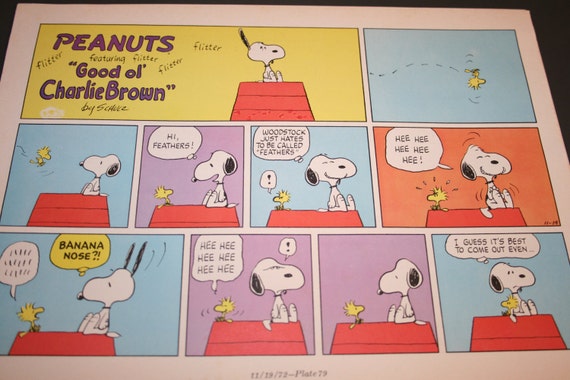 Snoopy Comic Snoopy Doghouse Name Calling Bullying Etsy