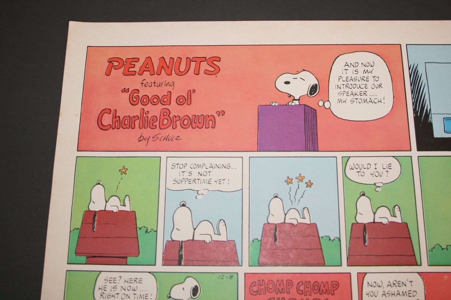 Snoopy Growling Stomach Charlie Brown Comic The Peanuts Etsy