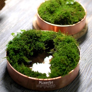 Copper / Brass tray with Moss Living Hymolonᵀᴹ Fabric base, Indoor Decor, Miniature Zen Garden