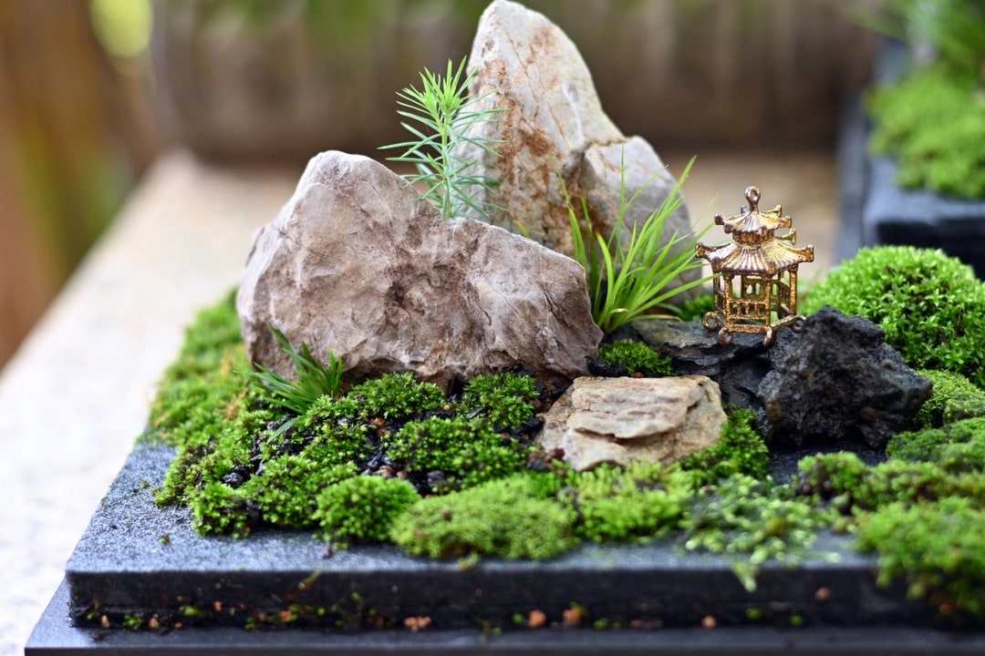 Moss Plant Topdressing Preserved Sheet Moss Top Dressing Houseplants  Miniature Garden Fairy Garden Terrarium Moss Soil Cover 