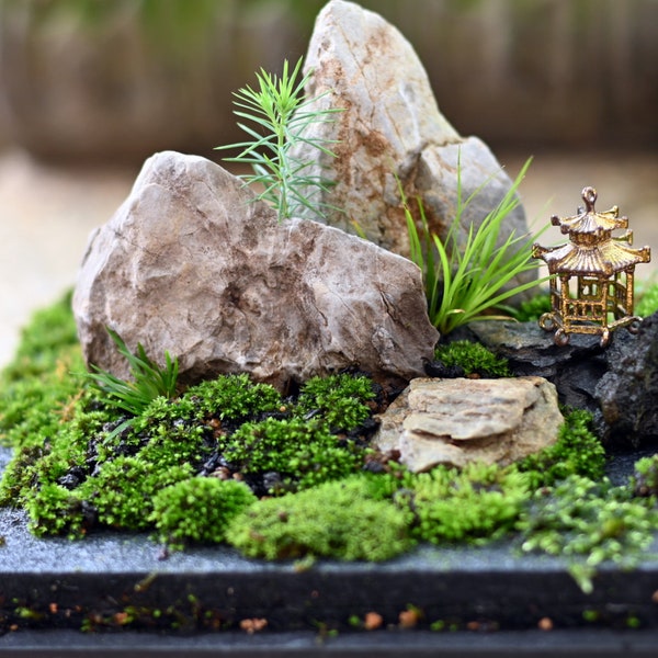 Moss Table Garden Kit: HymolonBox planter for Fairy Garden, Miniature, Micro Landscape, terrarium