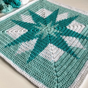 Asteria Cushion Crochet Pattern image 2