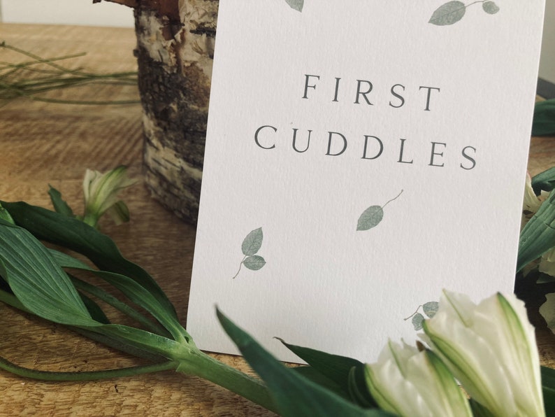 Pode incluir: Um cart&atilde;o branco com o texto "FIRST CUDDLES" em letras pretas. O cart&atilde;o &eacute; decorado com pequenas folhas verdes.