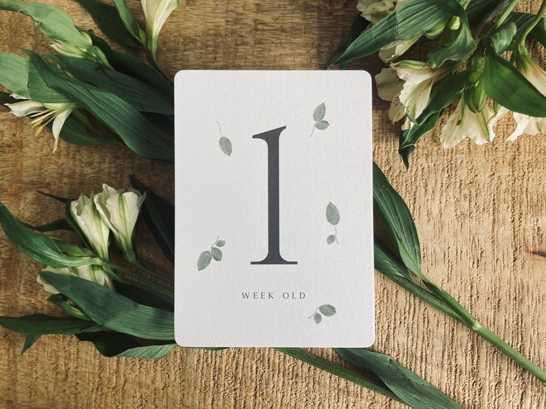Pode incluir: Um cart&atilde;o branco com um n&uacute;mero um preto e o texto "week old" impresso nele. O cart&atilde;o &eacute; cercado por folhas verdes e flores brancas.