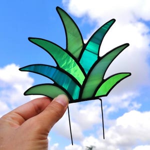 Agave-Buntglas-Sukkulentenpfahl-PFLANZE NUR für Hausgarten oder Balkondekor