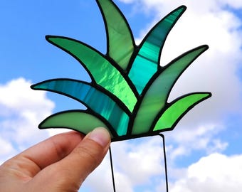 Agave Stained Glass Succulent Stake PLANT ONLY for Home Garden or Balcony Decor