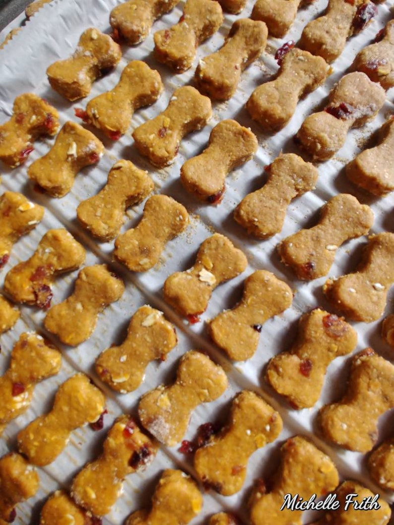 Pumpkin Cranberry Bread Dog Treats Gourmet Dog Biscuits Etsy