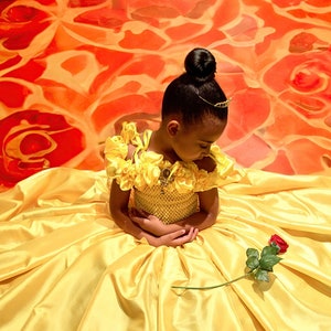 Princess Belle inspired Gown, Prom, Belle Dress, Brooch, FREE Tiara! Age 3 up to 12 yrs