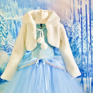Girl&#39;s Cinderella Inspired Winter Party Dress Costume, Christmas, Birthday Fancy dress, Made to Measure