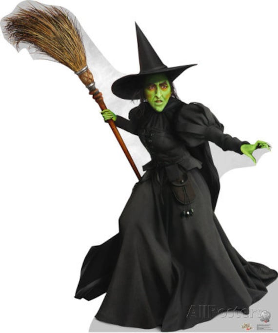 Womens Wizard of Oz Evil Witch Inspired Costume