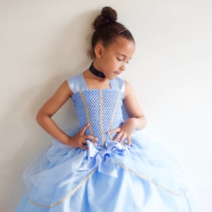 Princess Girls Cinderella Inspired Fancy Dress, Made To Measure age 3-12yrs
