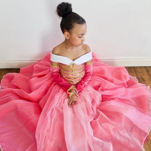 Disney Princess Aurora Inspired Costume/ Dress, Party, Prom, includes Petticoat, FREE Tiara! Made to Measure.