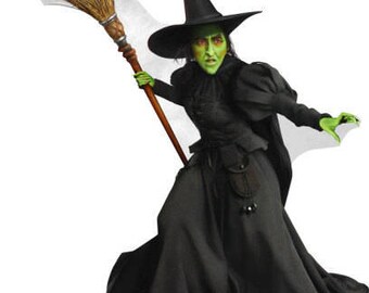 CL991 Goth Maiden Wicked Witch Womens Halloween Fancy Dress Gown Plus Costume 