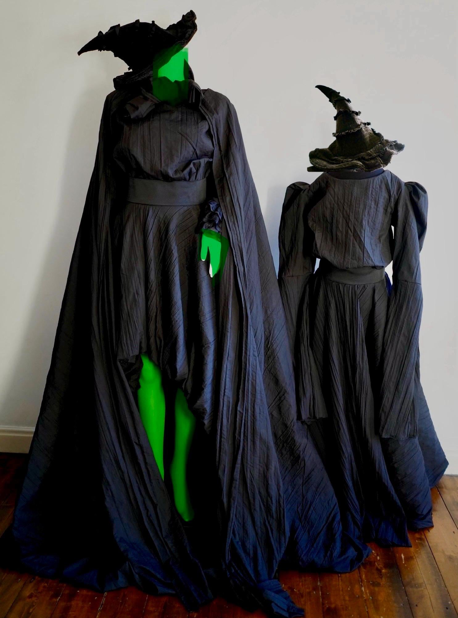 WICKED Elphaba Inspired Costume Includes Dress, Cape FREE Hat, School ...