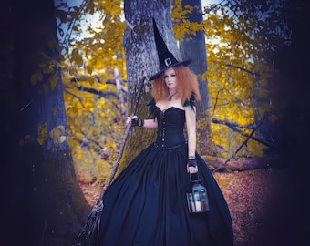 Women's Wizard of Oz Evil Witch inspired Costume, Christmas, Villain Party Fancy Dress, includes Free Hat, Made to order