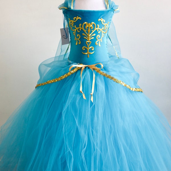 Princesse Jasmine Inspiré Costume / Robe, Fête, Bal, Fait sur mesure