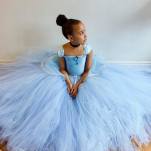 Girl&#39;s Cinderella Inspired Dress Costume Made to Measure