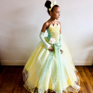 Disney Princess Tiana inspired Costume/Dress/Gown, Age 3 up to 12 years Made to Measure.