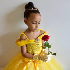 Girl's Princess Belle Inspired Costume/dress Birthday - Etsy