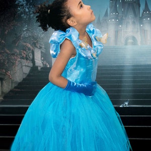 Girl&#39;s Princess Disney Cinderella Inspired costume with Free Gloves, made to measure