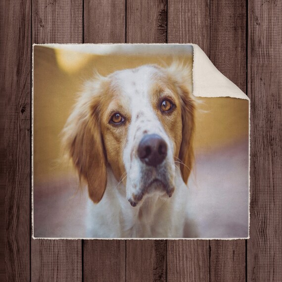 Pet Memorial Blanket Custom Dog Blanket Custom Pet Blanket Etsy