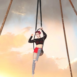 Aerial hoop Lyra image 2