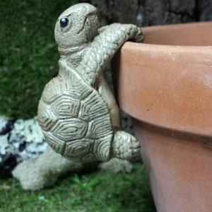 May include: A detailed, light-colored resin turtle figurine clinging to the edge of a terracotta flower pot. The turtle has a textured shell and is positioned as if climbing. The background features green moss and foliage.