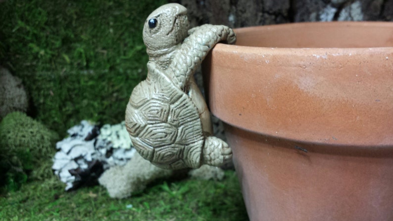 May include: A detailed, light-colored resin turtle figurine clinging to the edge of a terracotta flower pot. The turtle has a textured shell and is positioned as if climbing. The background features green moss and foliage.