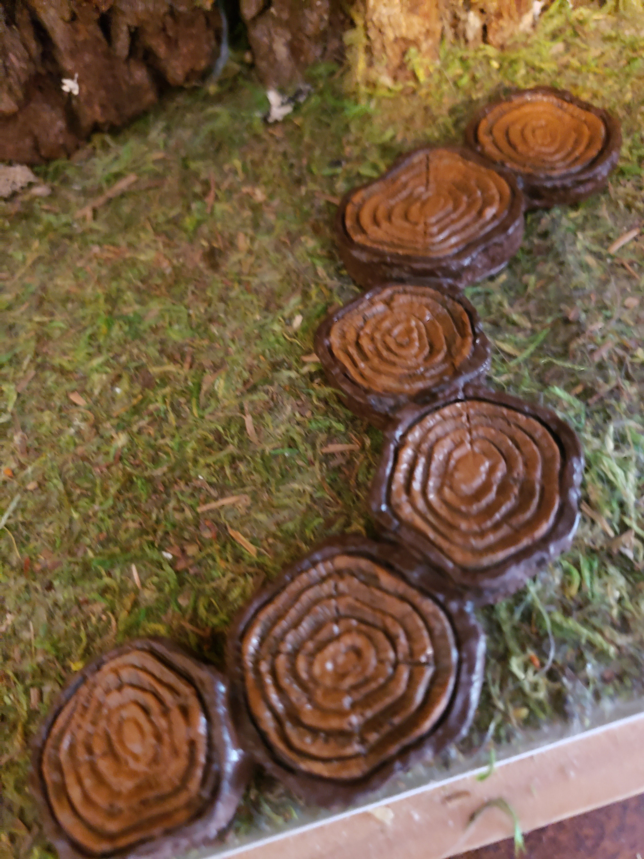 Pathway/ Stepping Stones Garden Decor for FAIRY GARDENS Etsy