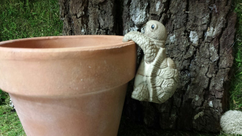 May include: A terracotta-colored flower pot with a decorative turtle figurine clinging to the rim. The turtle is a light beige color and has detailed shell and face features. The pot is set against a backdrop of tree bark and green grass.