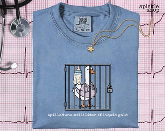NICU Nurse Shirt, Silly Goose RN T-Shirt, Funny Neonatal Tee, NICU Nurse Goose Apparel TShirt