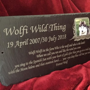 Extra Large Memorial Photo Plaque for Cherished Pets, 40cm x 20cm
