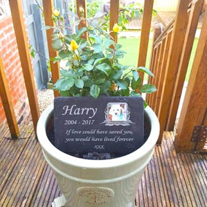 28cm x 18cm Slate Pet Photo Memorial Grave Marker Plaque with Oak Stake option