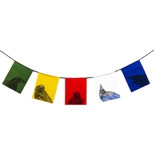 May include: A string of five colorful prayer flags with black silhouette images of birds. The flags are green, yellow, red, white, and blue.