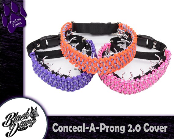 purple prong collar