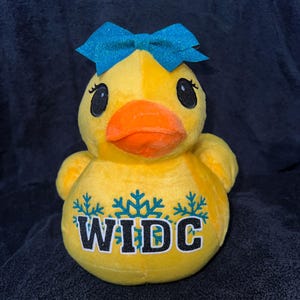 Personalized Cheer Duck Plush, Lucky Athlete Gift