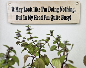 May include: A wooden sign with the text "It May Look like I'm Doing Nothing, But In My Head I'm Quite Busy!" is mounted on a white wall. Below the sign are green plants with purple flowers.