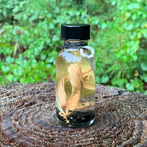 INFINITE PROTECTION Spell Oil.  For Never Ending Protection. Protective Energy Circle.  8 Dram