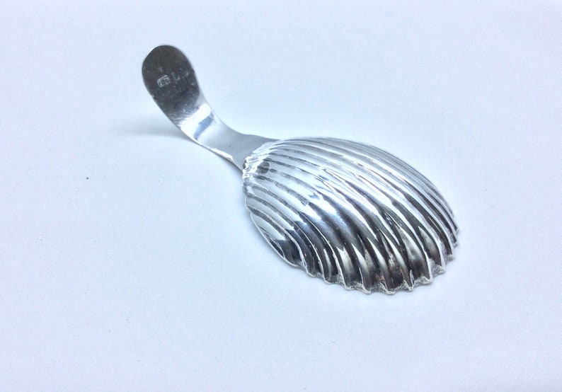 early 1900s English Sterling Caddy Spoon